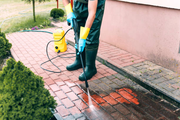 Best Residential Pressure Washing Services  in Thompson, ND