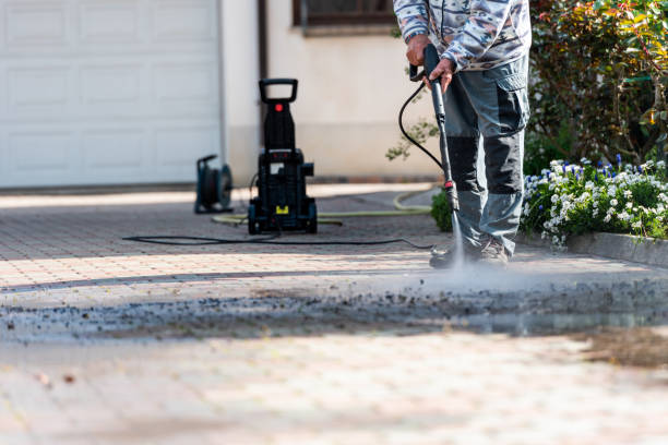 Best Affordable Power Washing  in Thompson, ND