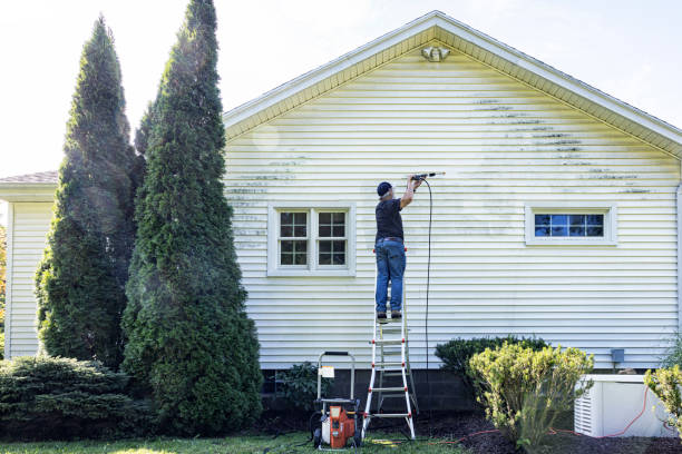 Best Deck Cleaning Services  in Thompson, ND