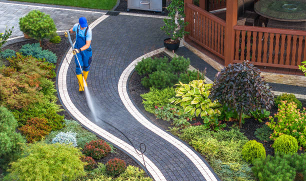 Best Sidewalk Pressure Washing  in Thompson, ND